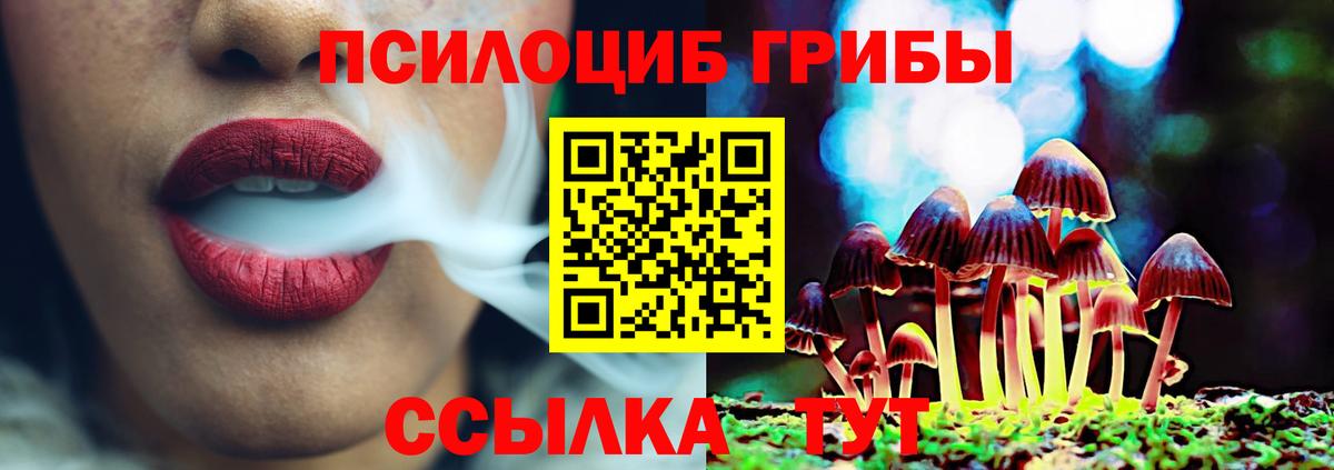 Сарапул  Псилоцибиновые грибы ЛСД  Псилоцибиновые грибы MAGIC MUSHROOMS  Вход с VPN 